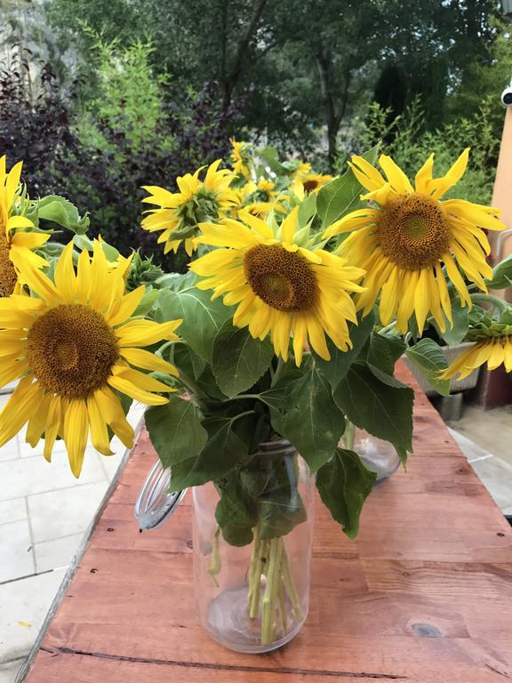 Les Chambres Du Moulin A Huile Vaison-la-Romaine Ngoại thất bức ảnh